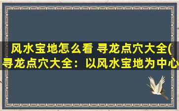 风水宝地怎么看 寻龙点穴大全(寻龙点穴大全：以风水宝地为中心的独家指南)